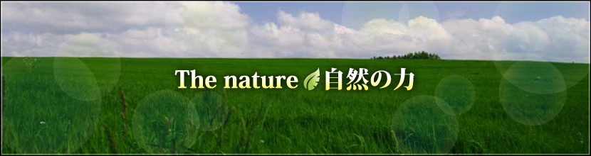 the nature/自然の力